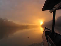 Tambopata